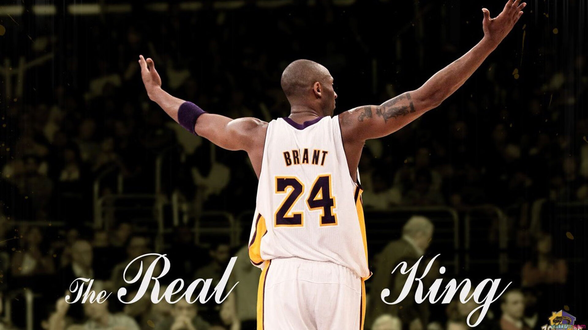 保利斯塔核心球员状态回升，保利斯塔嘉宝果介绍